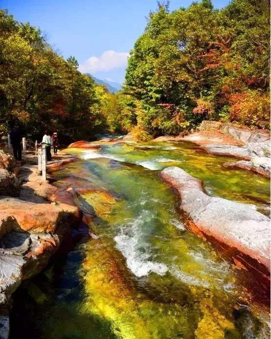 ◆陜西青峰峽國家森林公園(國家AAAA級旅游景區(qū))